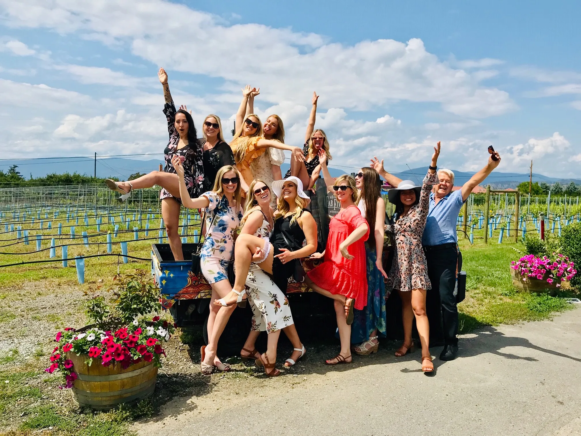 guided wine tours