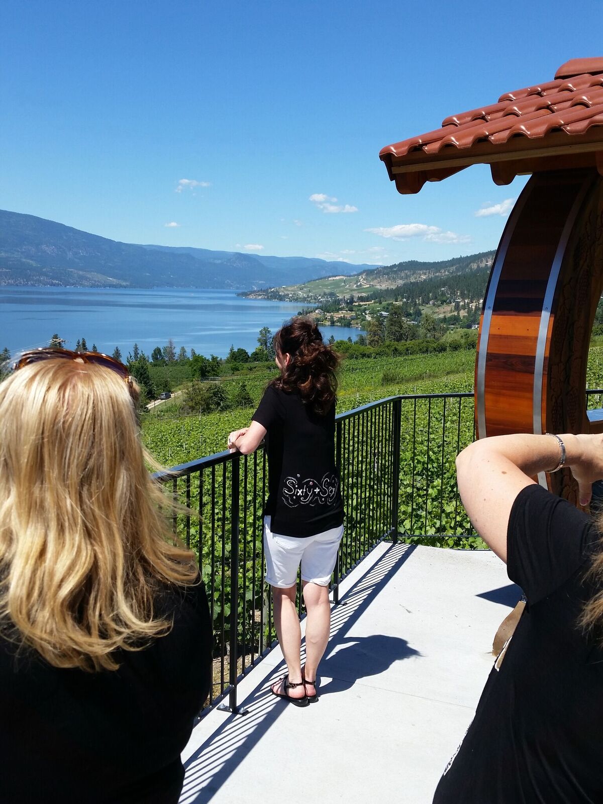 Wineries In BC