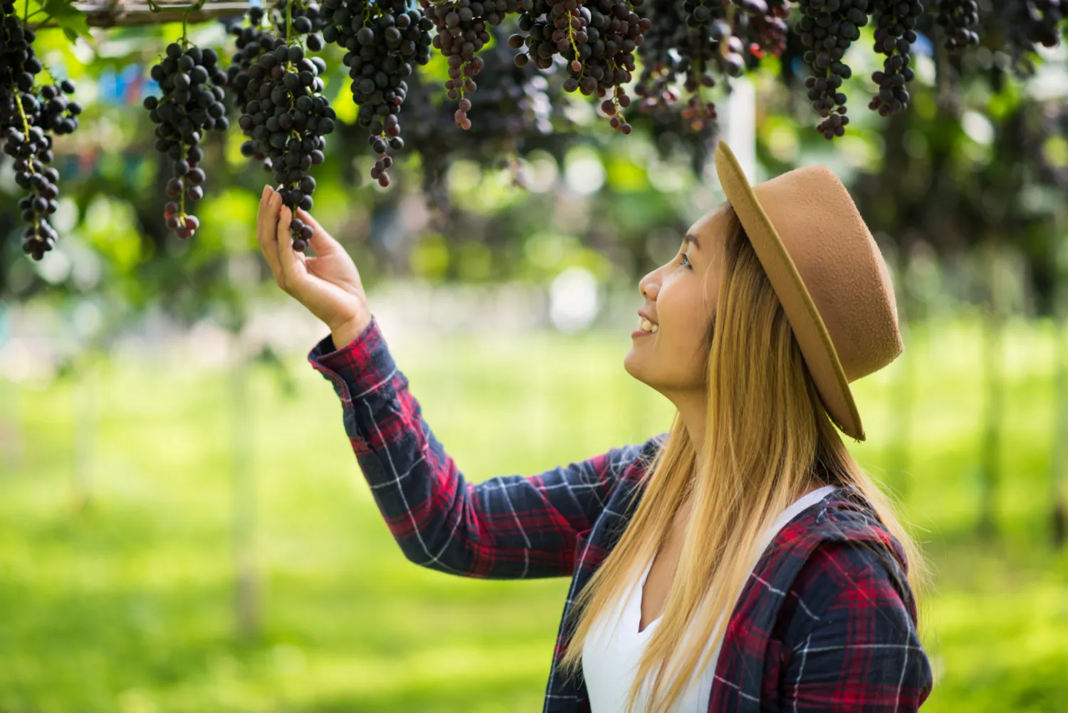 Culinary Delights of West Kelowna