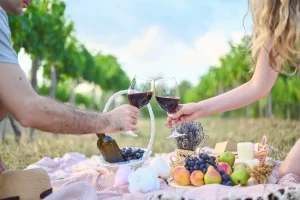 wine tour guide