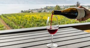 Why West Kelowna Is the Ultimate Destination for Wine Lovers?
