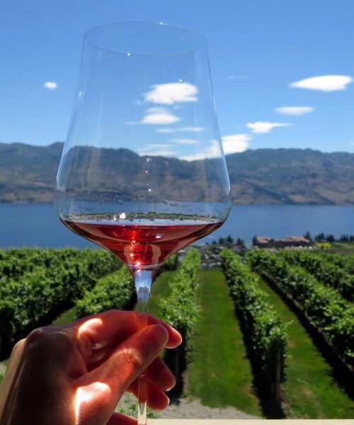 The Terrace at Mission Hill Family Estate Winery