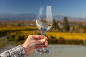 Experience the Beauty and Flavour of the Heart of Kelowna Wine Tour